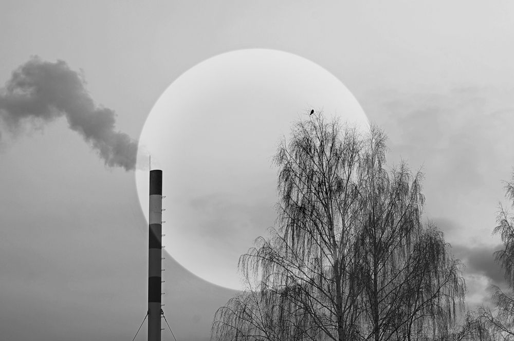 Контрасты мира.