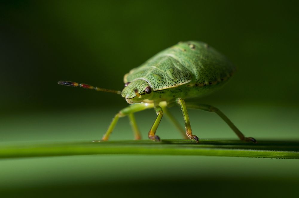 Фотография автора Пётр Чирков