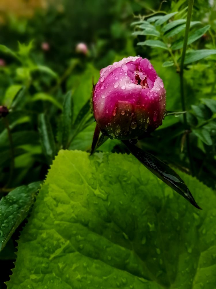 Photograph by Ольга Гаврикова