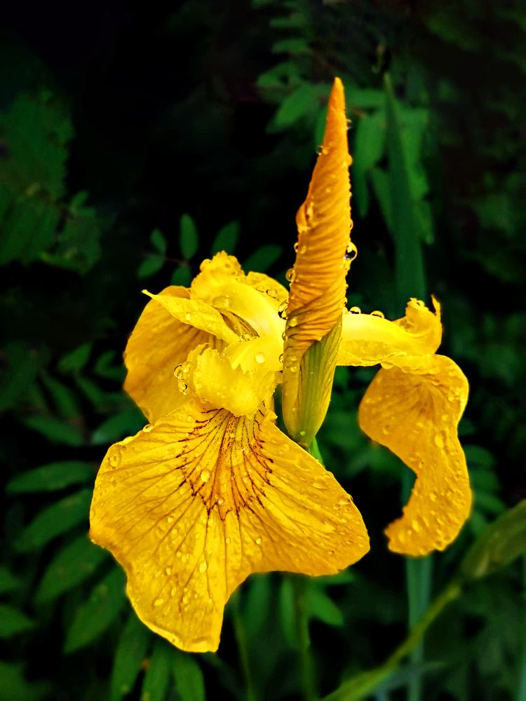 Photograph by Ольга Гаврикова