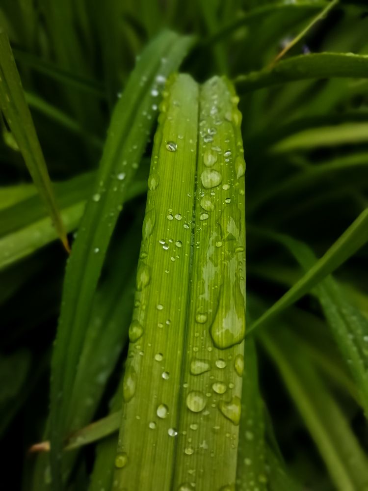 Photograph by Ольга Гаврикова