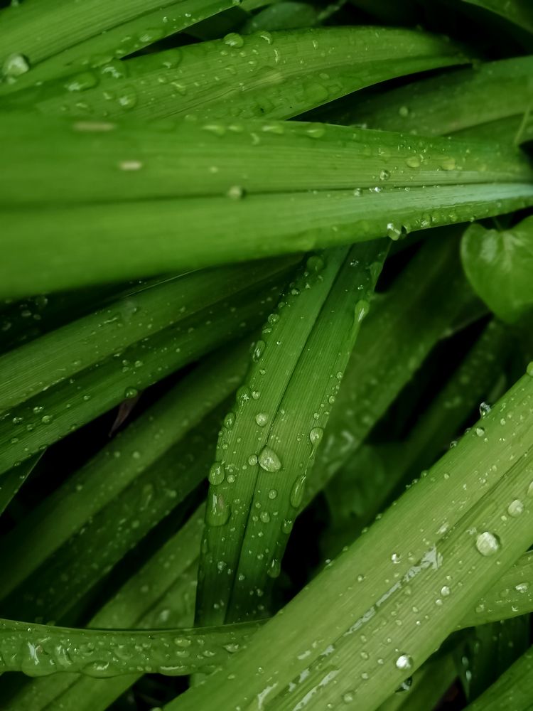 Photograph by Ольга Гаврикова