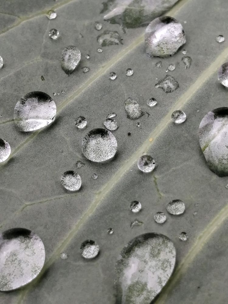 Photograph by Ольга Гаврикова