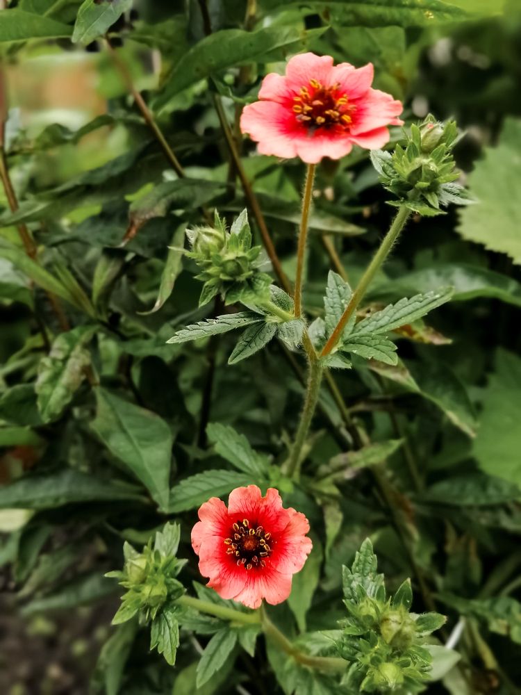 Photograph by Ольга Гаврикова