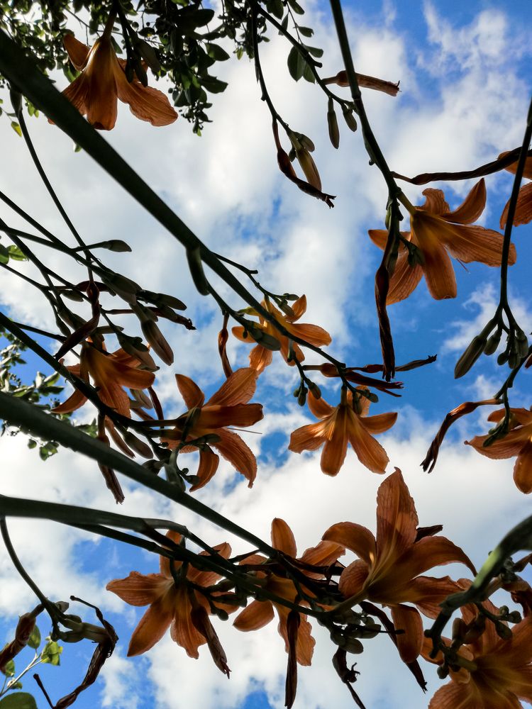 Photograph by Ольга Гаврикова