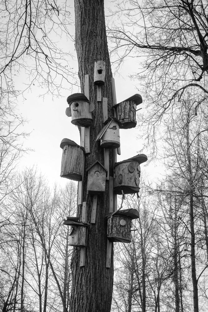 Многоэтажка