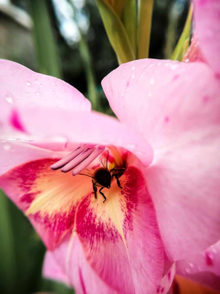 Photograph by Ольга Гаврикова