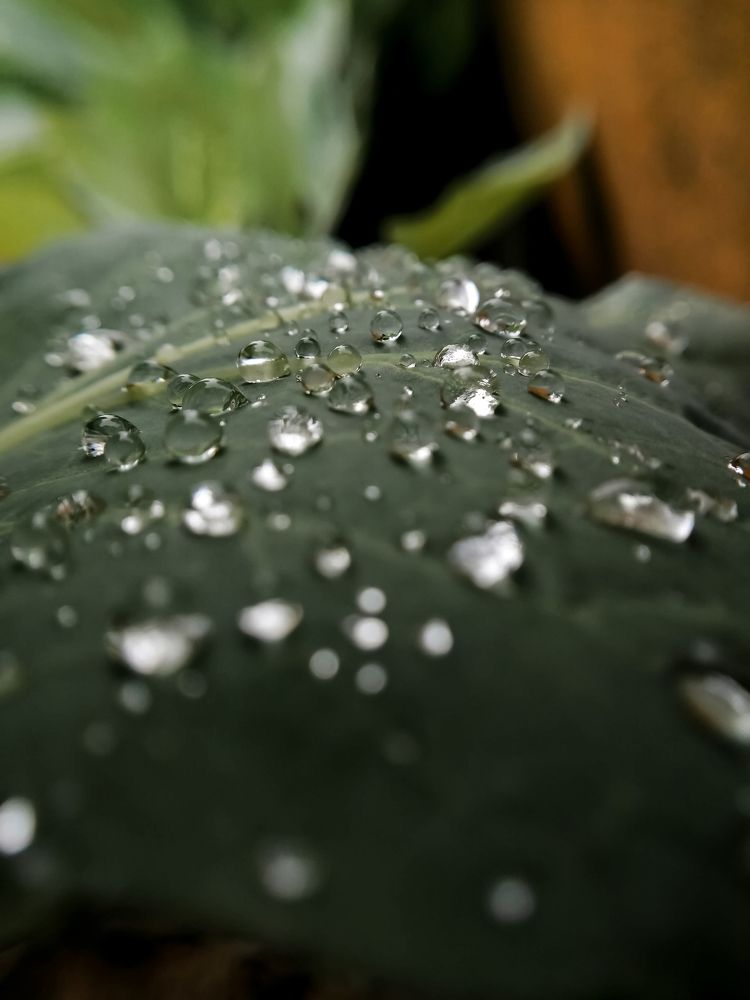 Photograph by Ольга Гаврикова