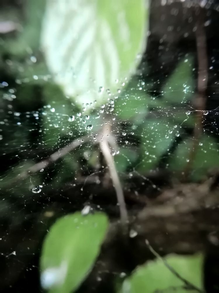 Photograph by Ольга Гаврикова