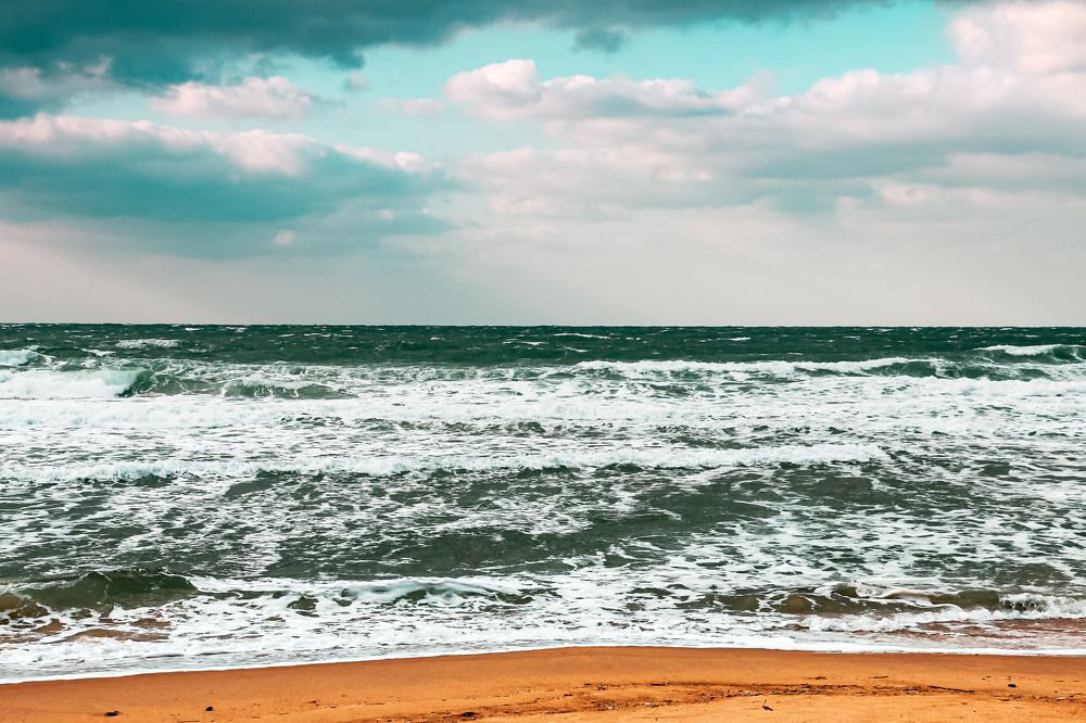 Photograph by Kateri Rosanne Taimanao