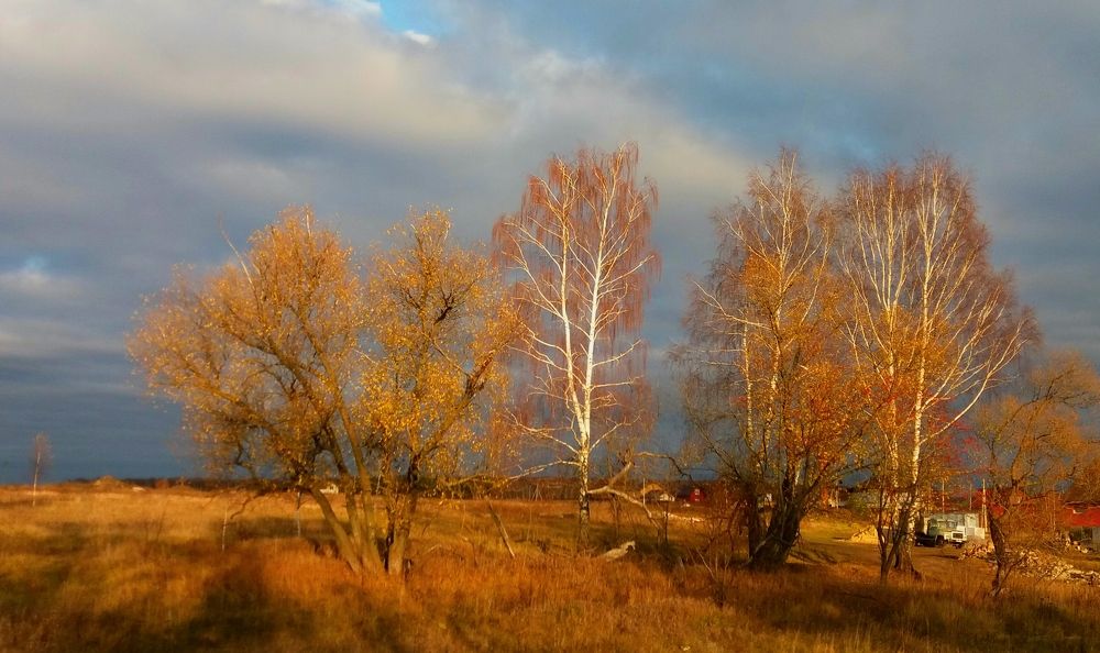 Photograph by Раббе Владимир