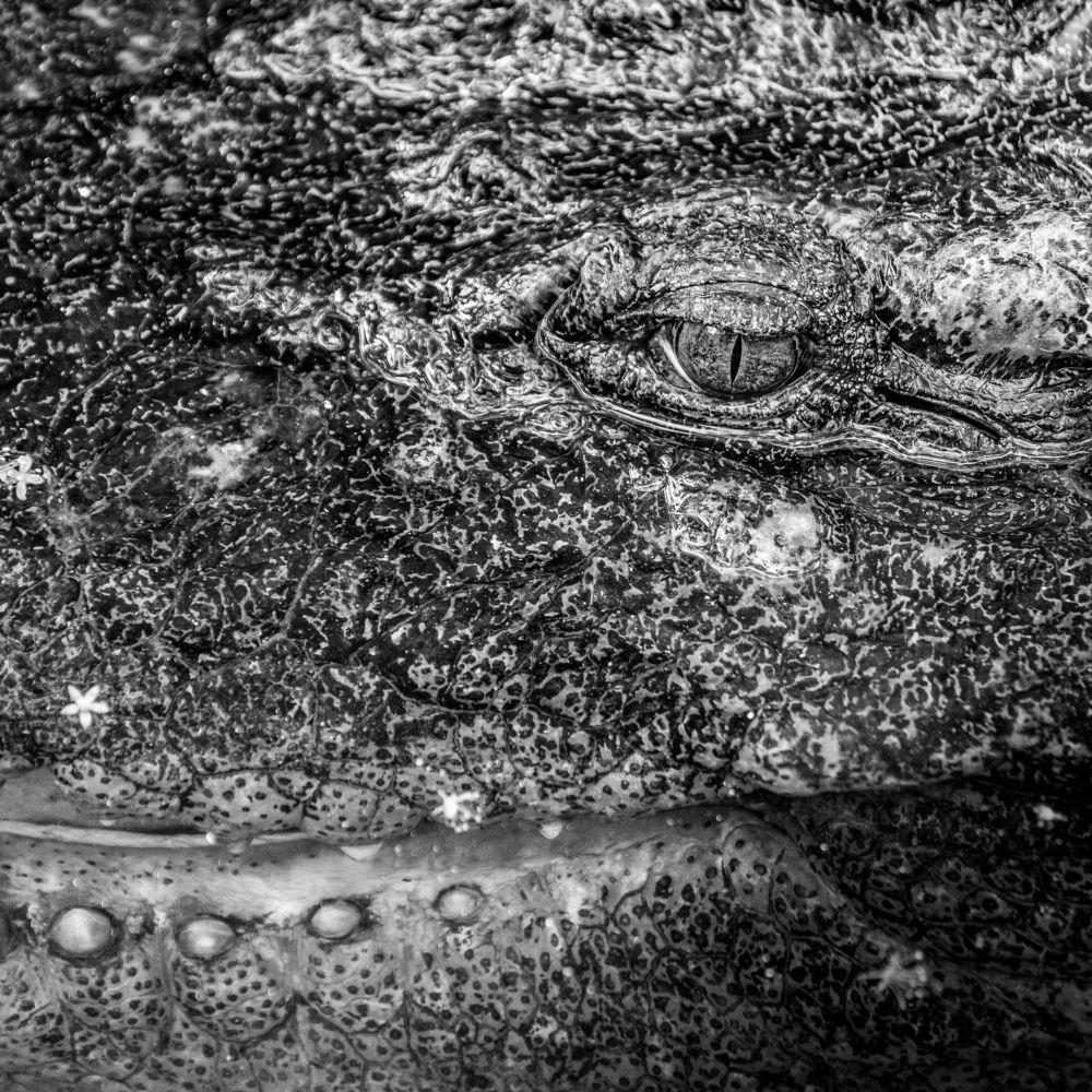 Photograph by Dzintra Zvagina