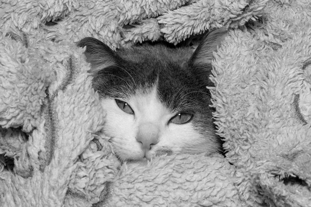 Photograph by Олександр Михайлов