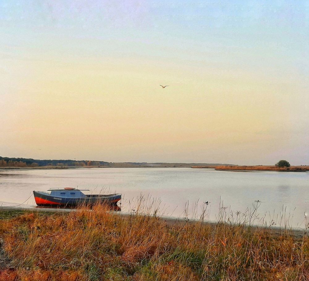 Photograph by Ольга Шаньгина