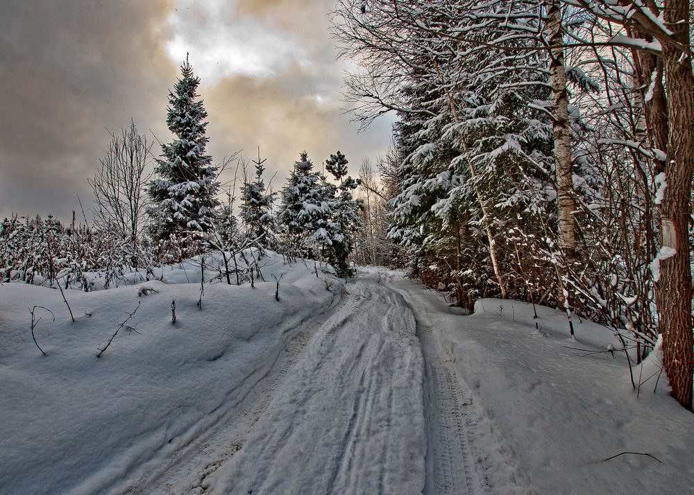 Зимняя дорога.