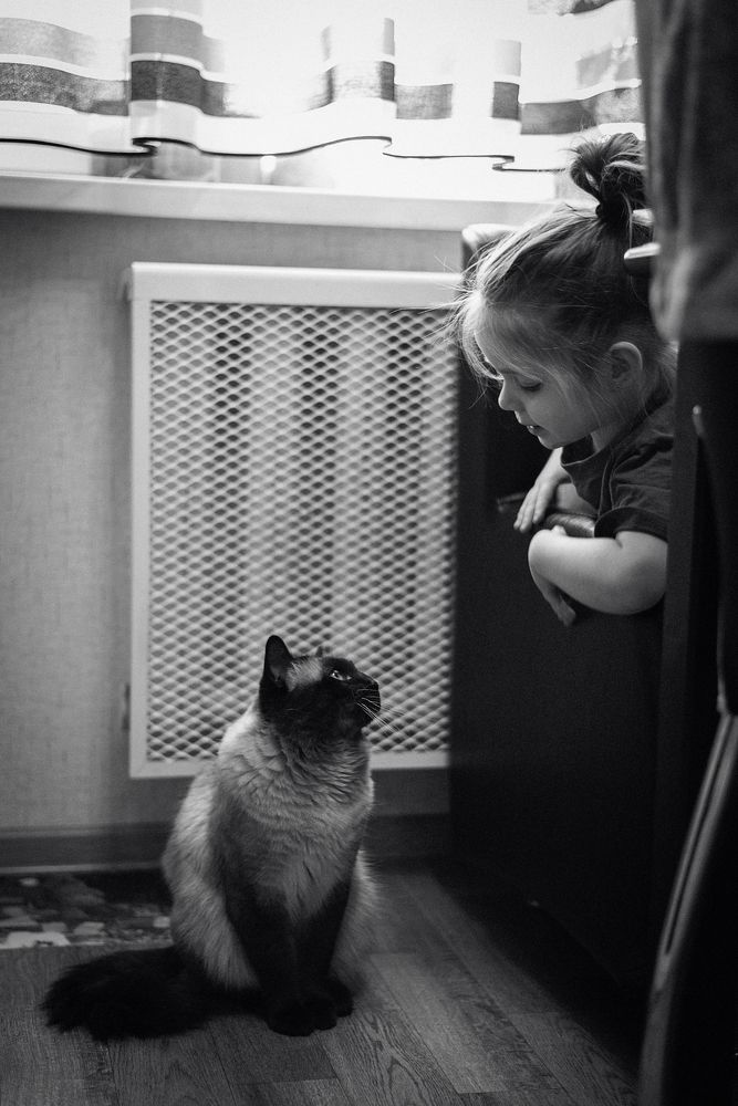 Photograph by Анастасия Спиридонова