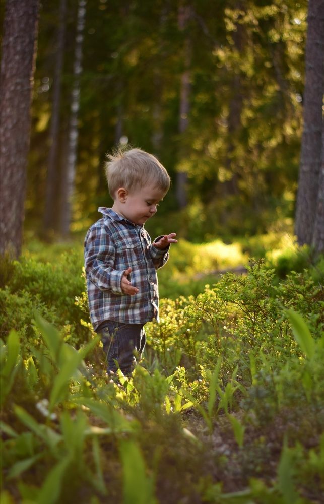 Photograph by Tatiana Toritcyna