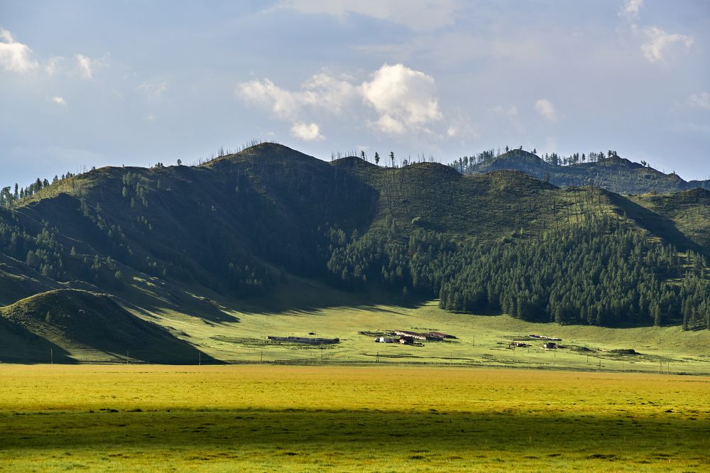 Photograph by Алексей Петров