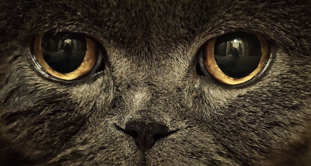 Photograph by Евгений Жиляев