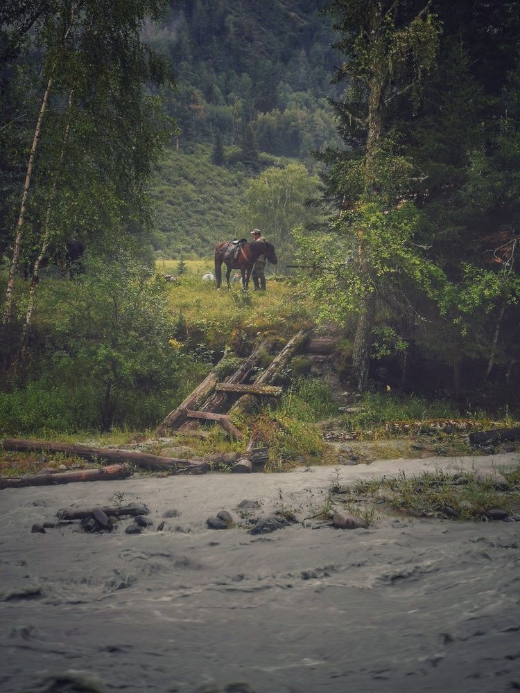 Photograph by Алексей Петров