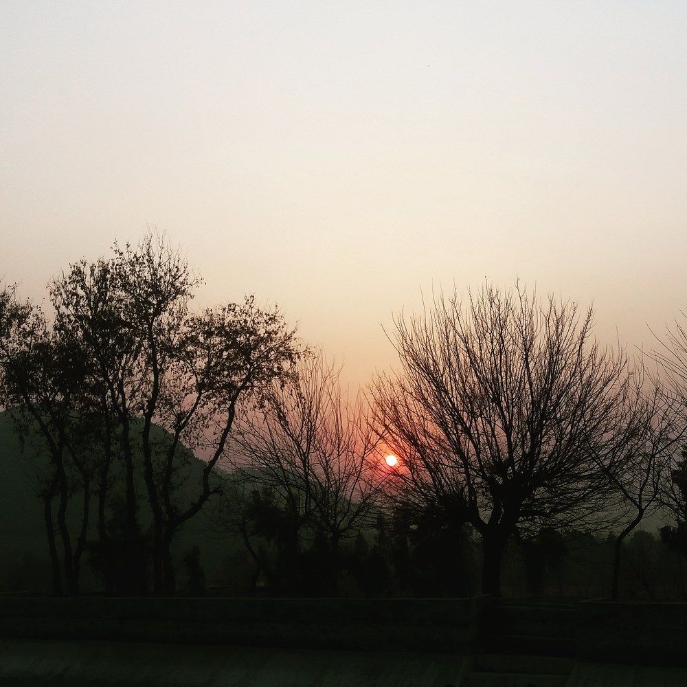 scenic sunset