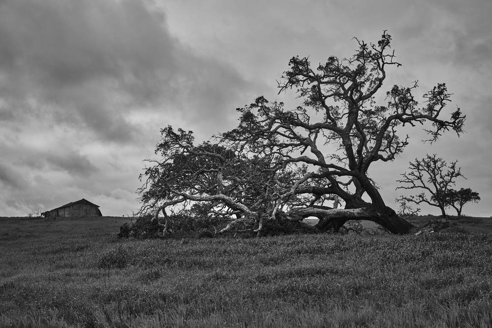 Photograph by Алексей Петров