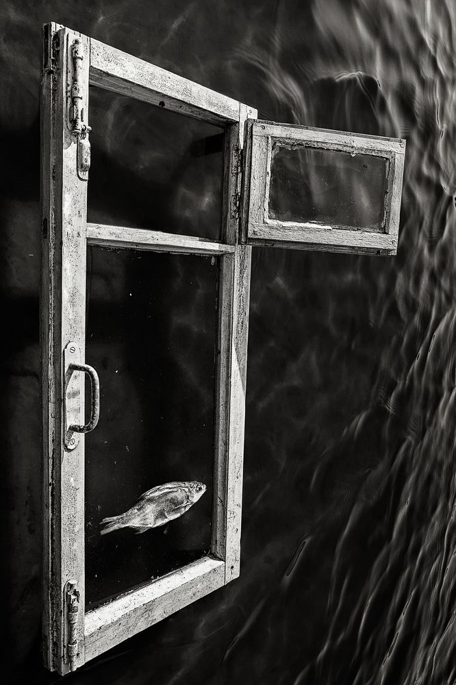 Photograph by Михаил Тонконожко