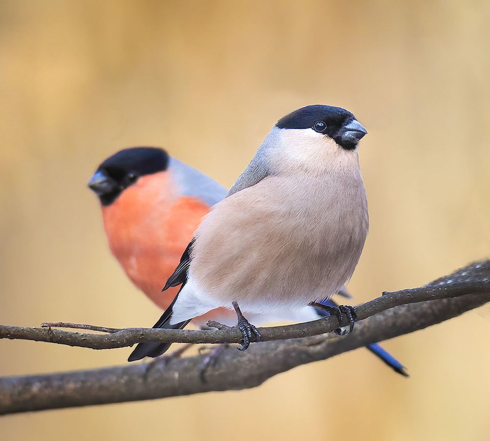 Photograph by Власов Егор