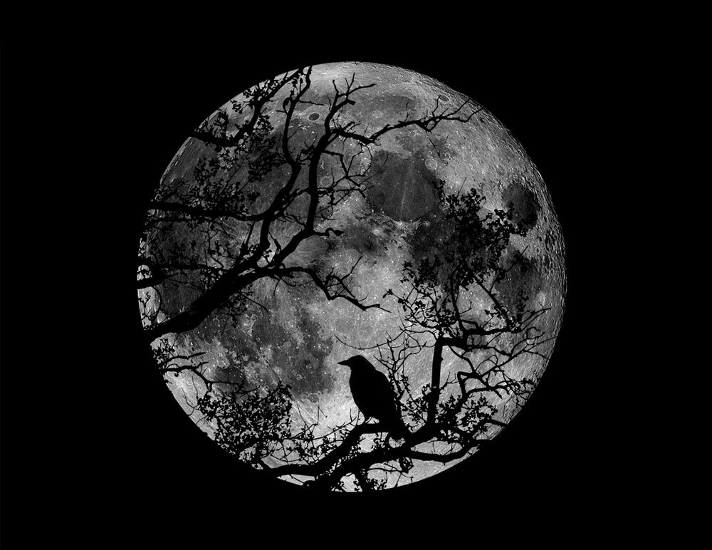 Photograph by iman hafezkhan