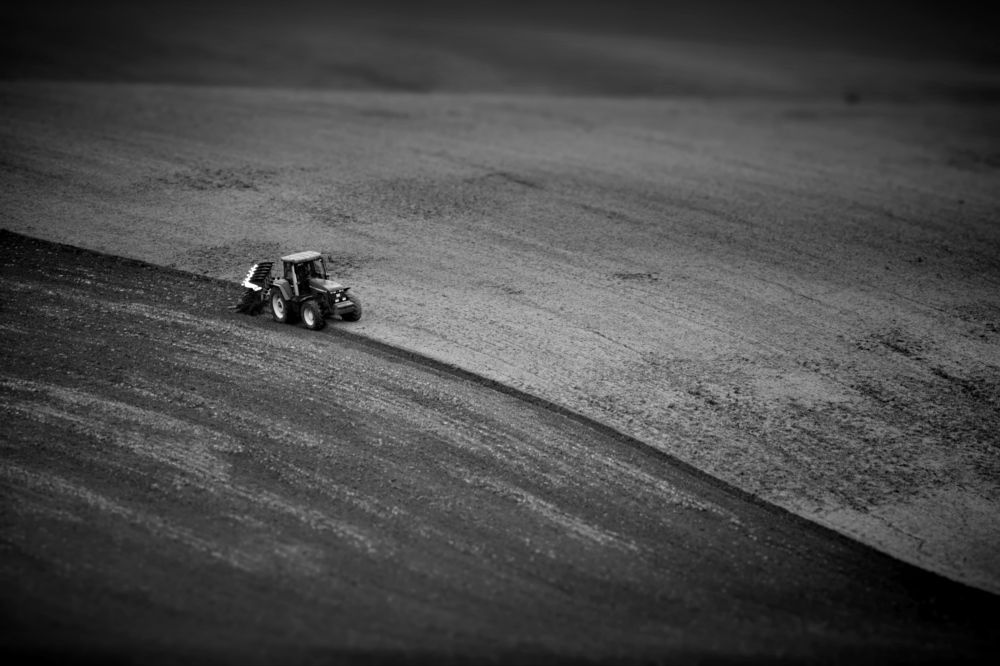 Полевые работы