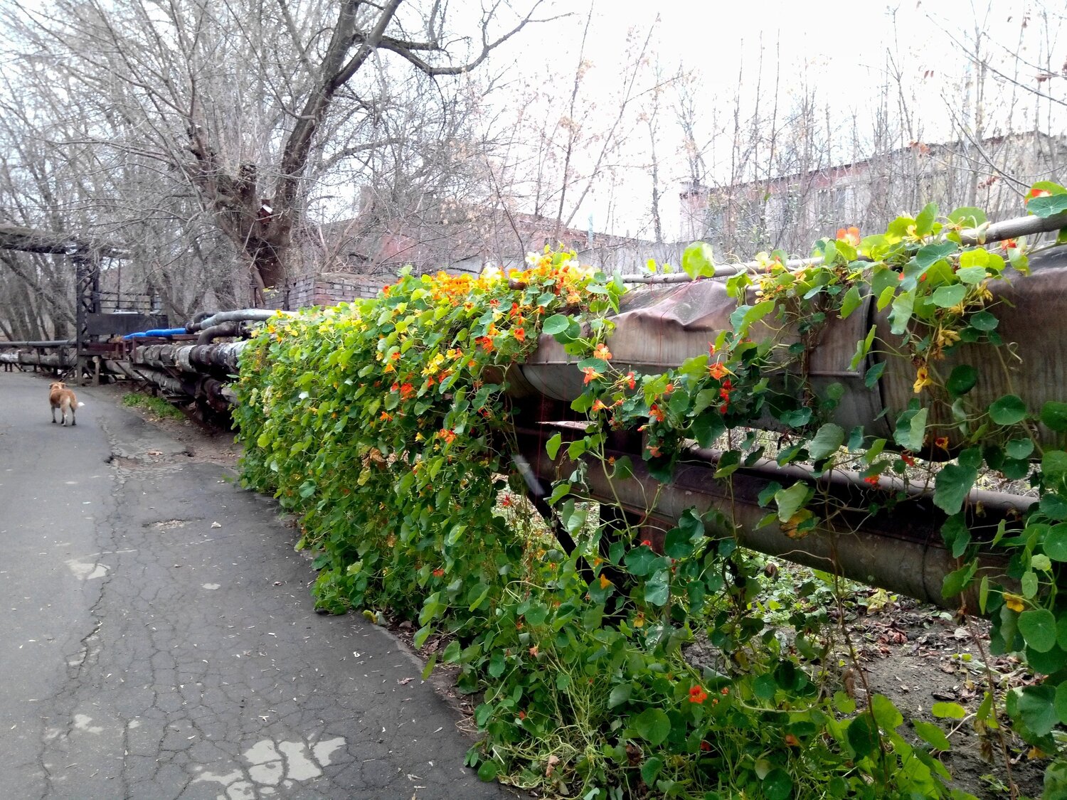 Photo #5786188