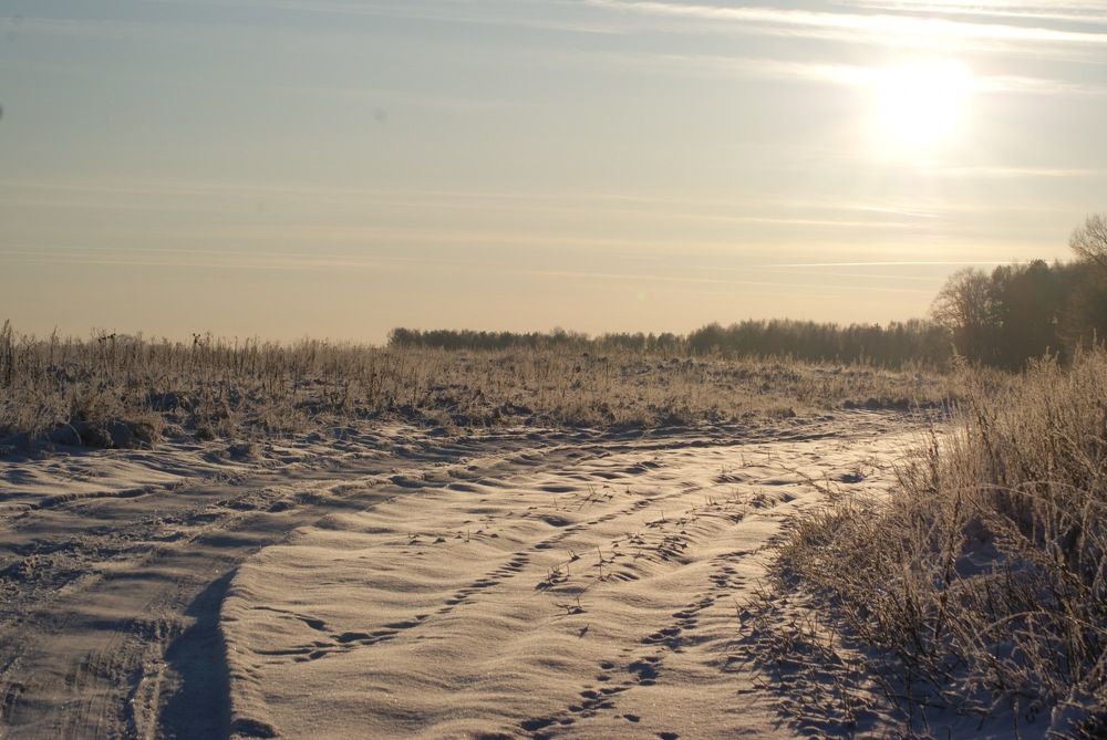 Photograph by Иван Серебряков