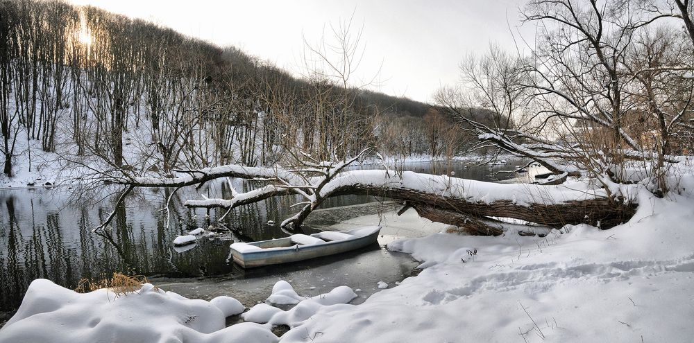 Зима.Тетерев.Рассвет.