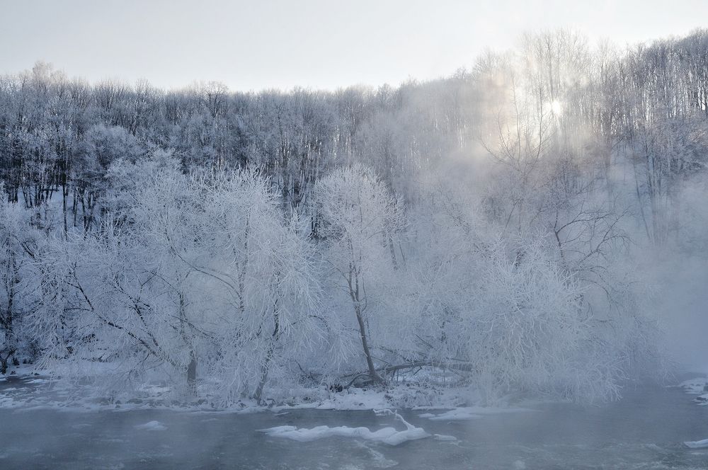Зима.Тетерев.Рассвет II