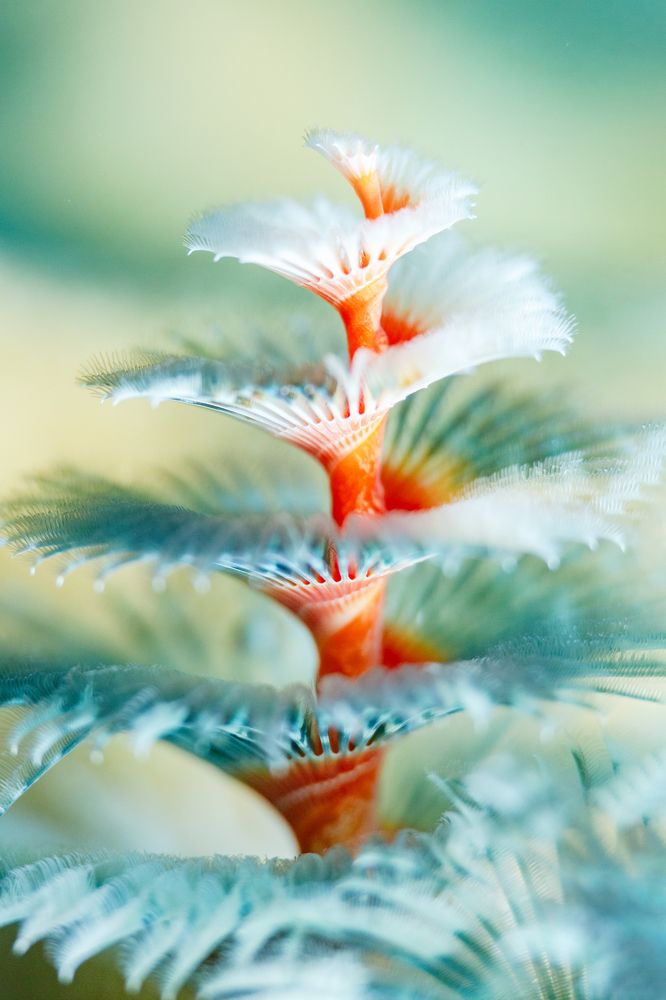 Photograph by Тетяна Тарасенко