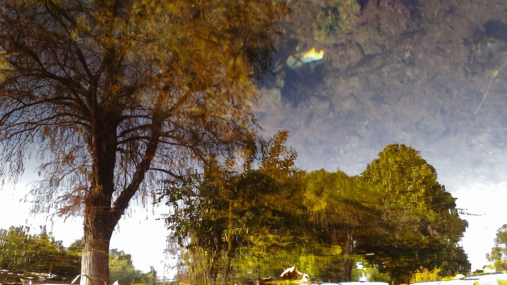water reflection unreal