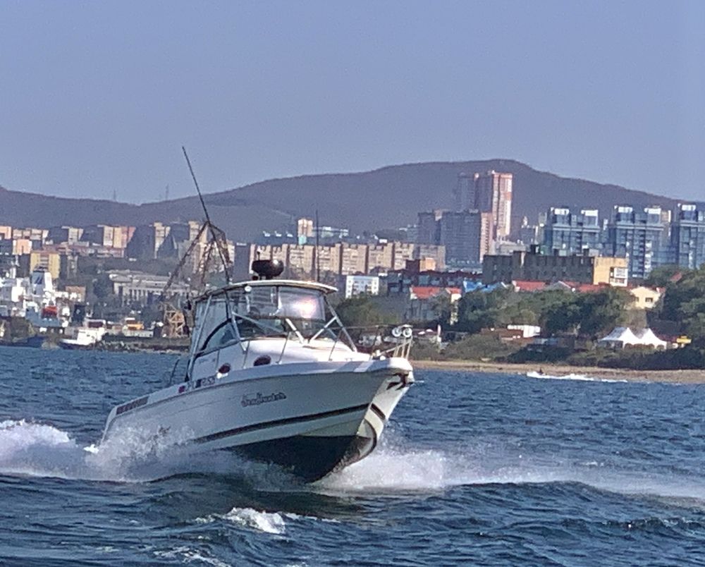 Грация в движении