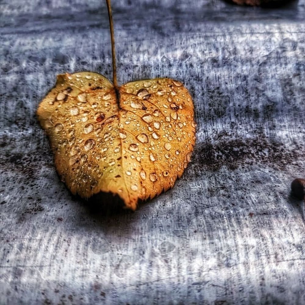 Photograph by Georgy Pesko