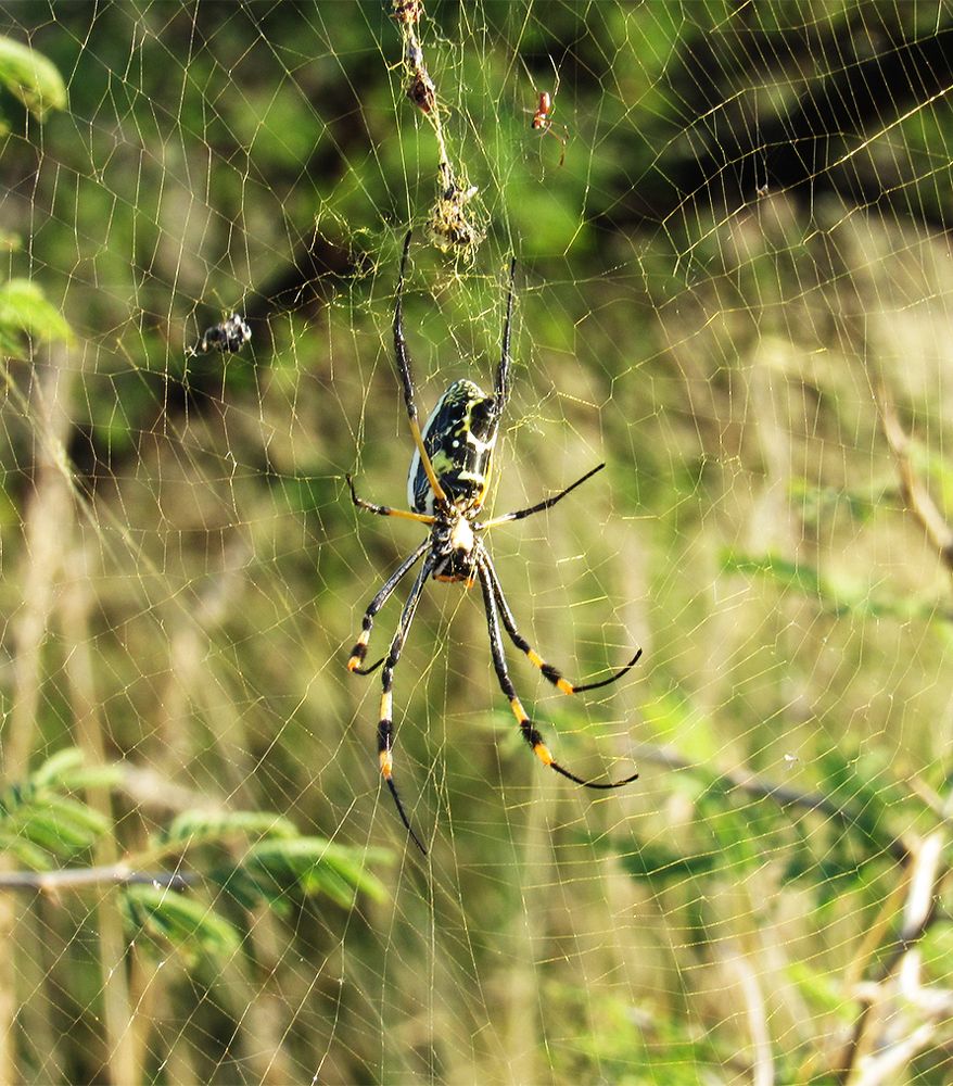 Photograph by Colahan Mariana