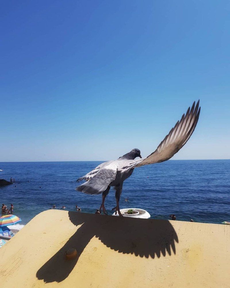 Всем привет!