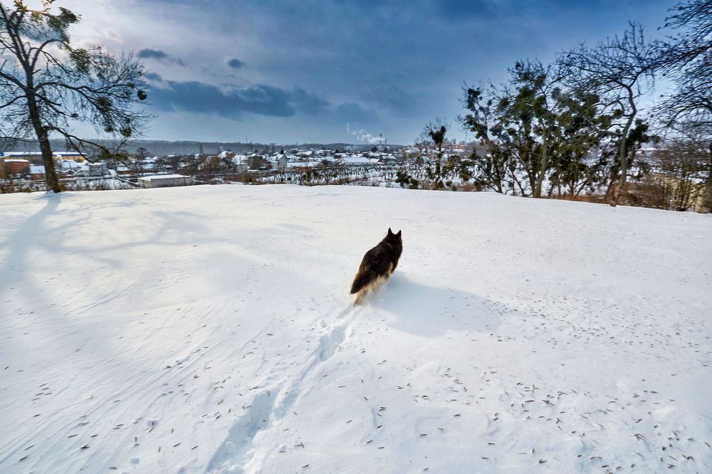 Photograph by Александр Кобелюк