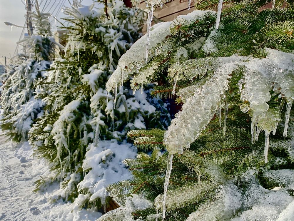 Photograph by Роман