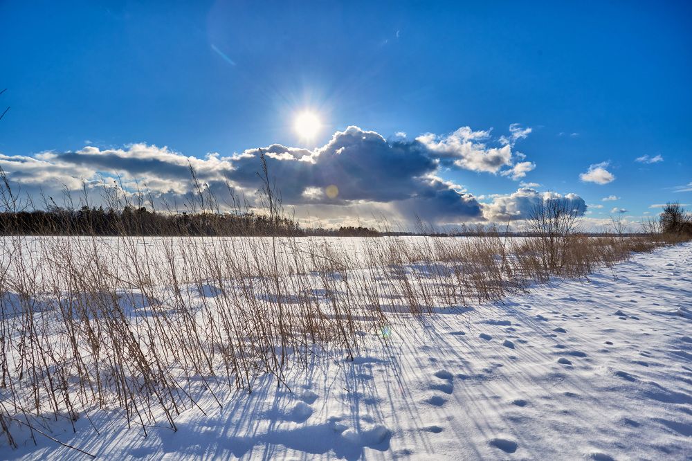 Photograph by Александр Кобелюк