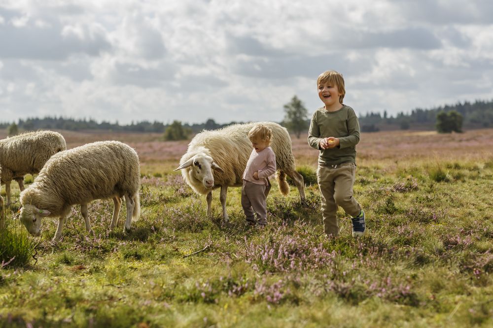 Photograph by Irina Hoek