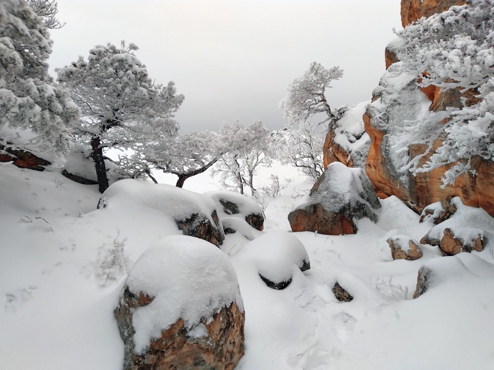 Photograph by Marat Magov