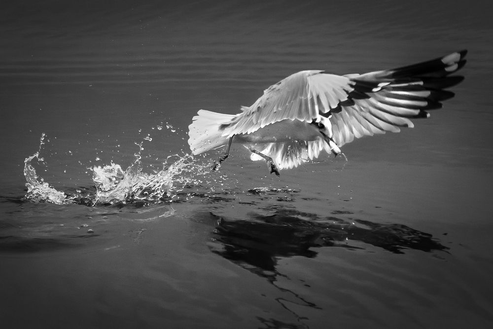 Photograph by Huynh Loc