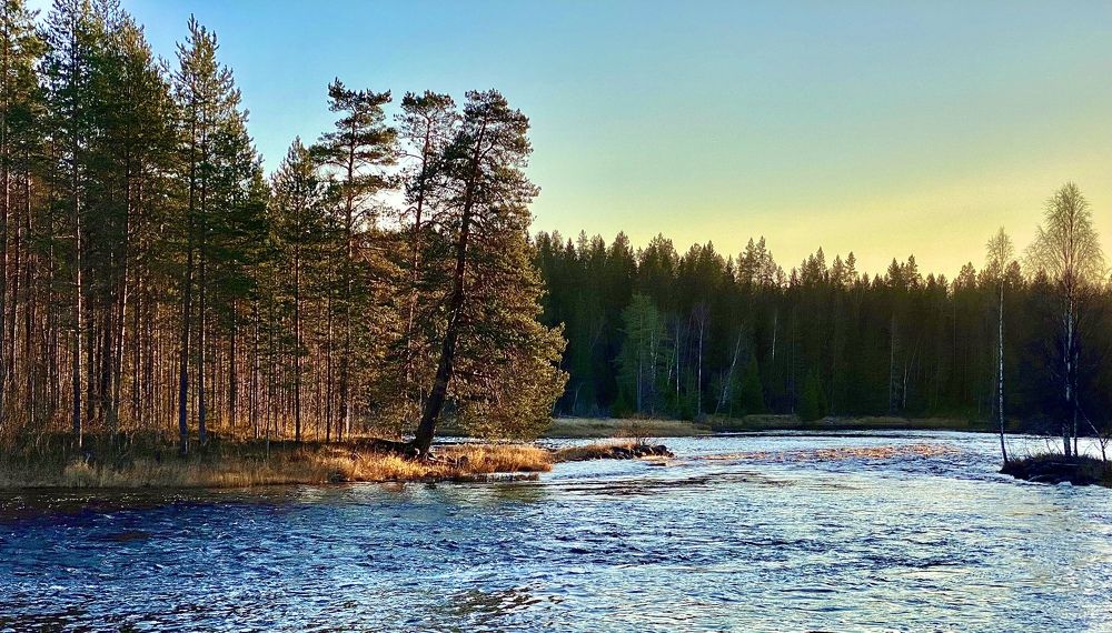 Photograph by Максим Воробьев