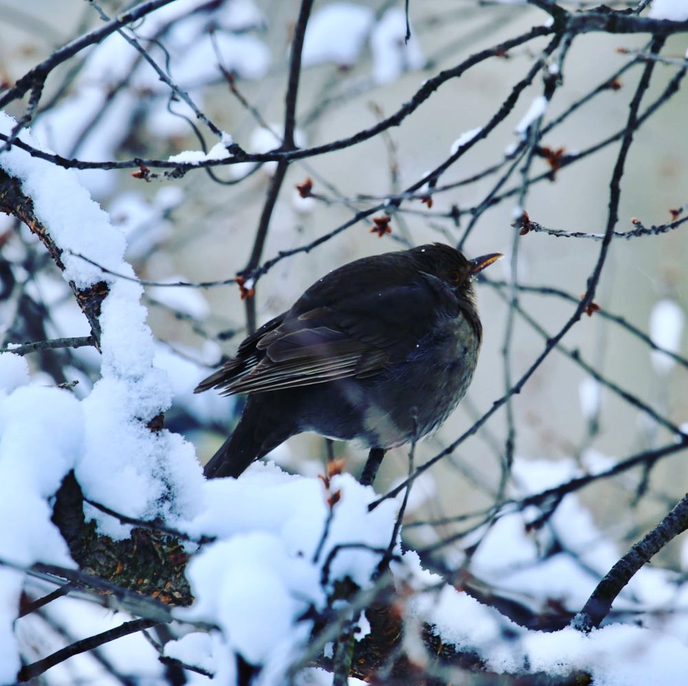 Photograph by Stefan Petkov