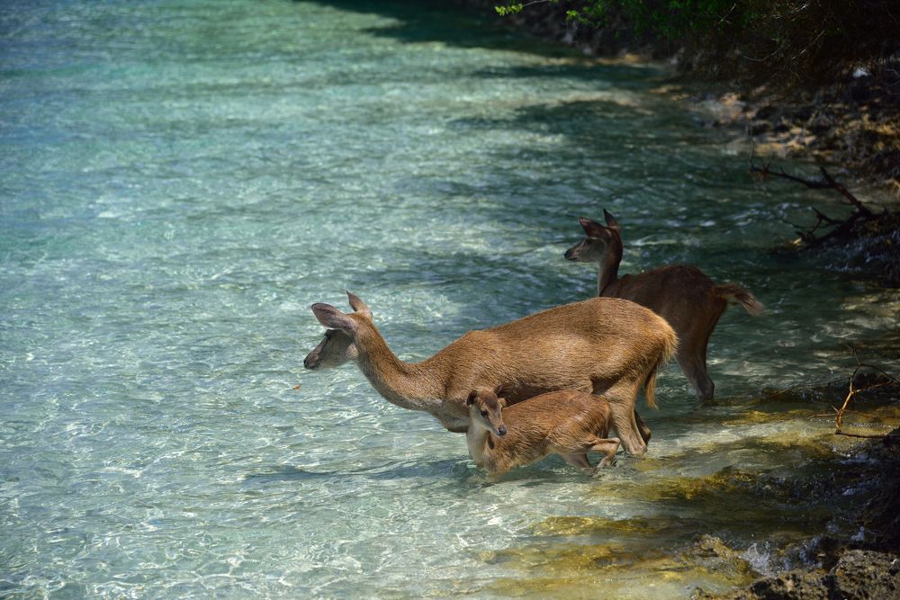 Photograph by Karasev Pavel