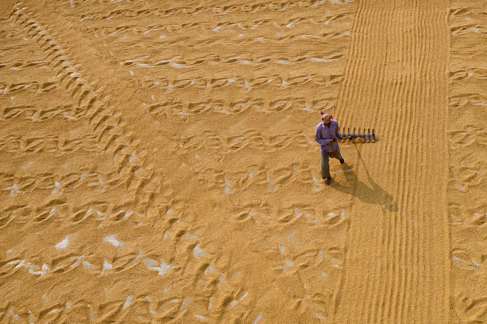 Photograph by Avra Ghosh